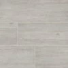 MSI 16 in. x 47 in. Caldera Grigia Matte Porcelain Paver Floor Tile (2-Pieces/10.44 sq. ft./Case)