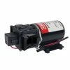 Chapin 12-Volt/2.0 GPM Diaphragm Pump