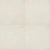 MSI 24 in. x 24 in. Living Style Cream Matte Porcelain Paver Floor Tile (2-Pieces/8 sq. ft./Case)