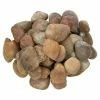 MSI Red Polished Pebbles 0.5 cu. ft . per Bag (0.75 in. to 1.25 in.) Bagged Landscape Rock