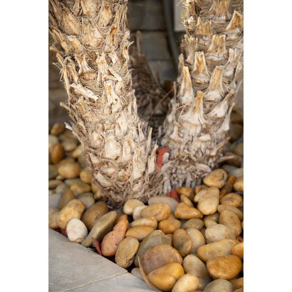 MSI Yellow Polished 0.5 cu. ft. per Bag (1 in. to 2 in.) Bagged Landscape Rock (28 bags/Covers 14 cu. ft.) - Image 2