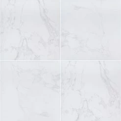 MSI 24 in. x 24 in. Square Praia Carrara Matte Porcelain Paver Floor Tile (2 Pieces/8 sq. ft./Case)
