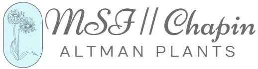 Chapin Verkoopwinkel